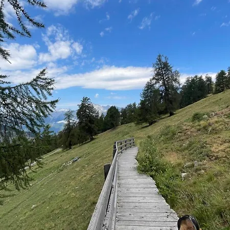 Bel Grand Panorama *